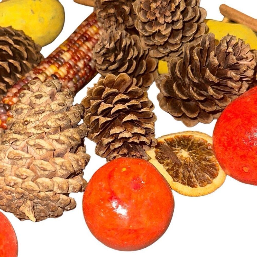 Lot of 48 Mixed Natural Dried Fruit Scented Pot Pourri Christmas Decoration